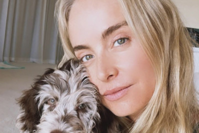 Angélica celebra chegada de novo pet após morte de cachorrinha: 'Integrante da família'