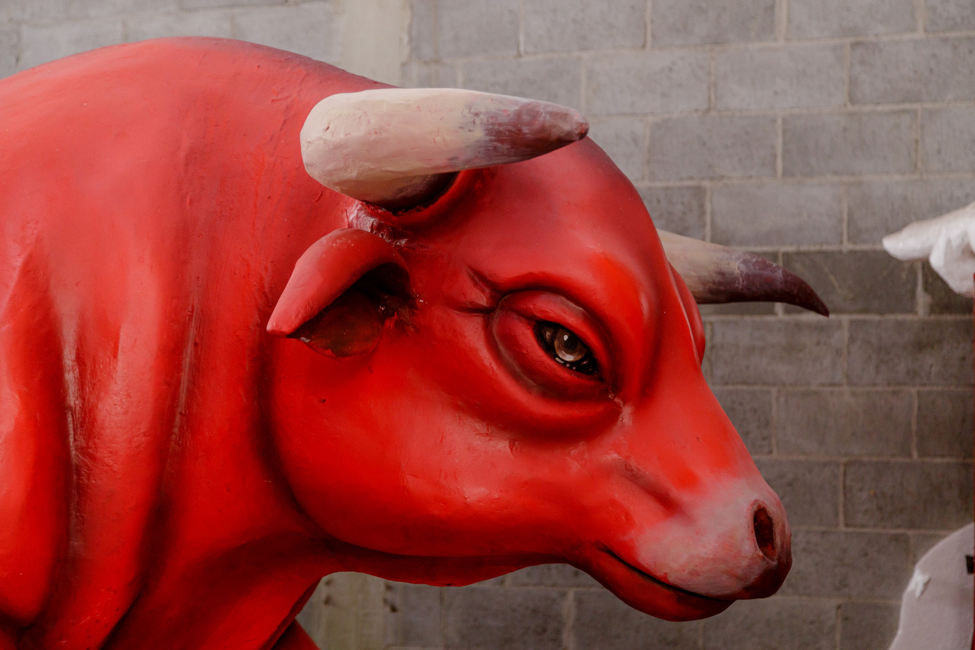 Unidos de Padre Miguel recorre a Padre Cícero em busca do título de 2024 - Divulgação/ Carlos Lucio