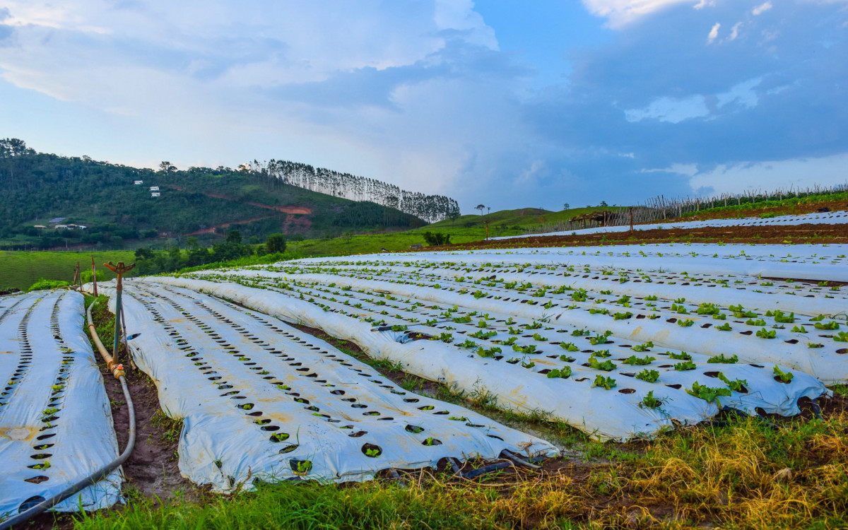 Visitação vai continuar ao longo do ano