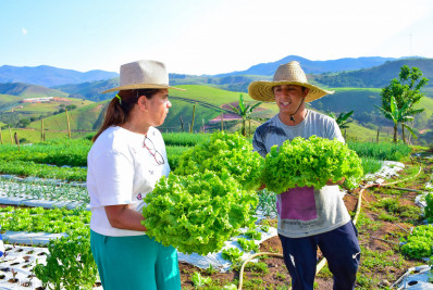 Agroturismo de Paty do Alferes abre as portas no Carnaval