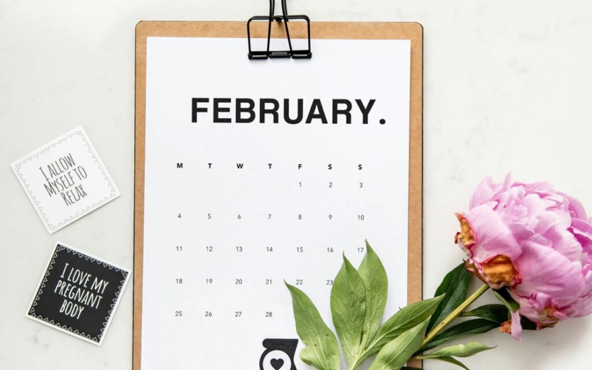 Resumo astrológico de fevereiro de 2024: um mês revolucionário!