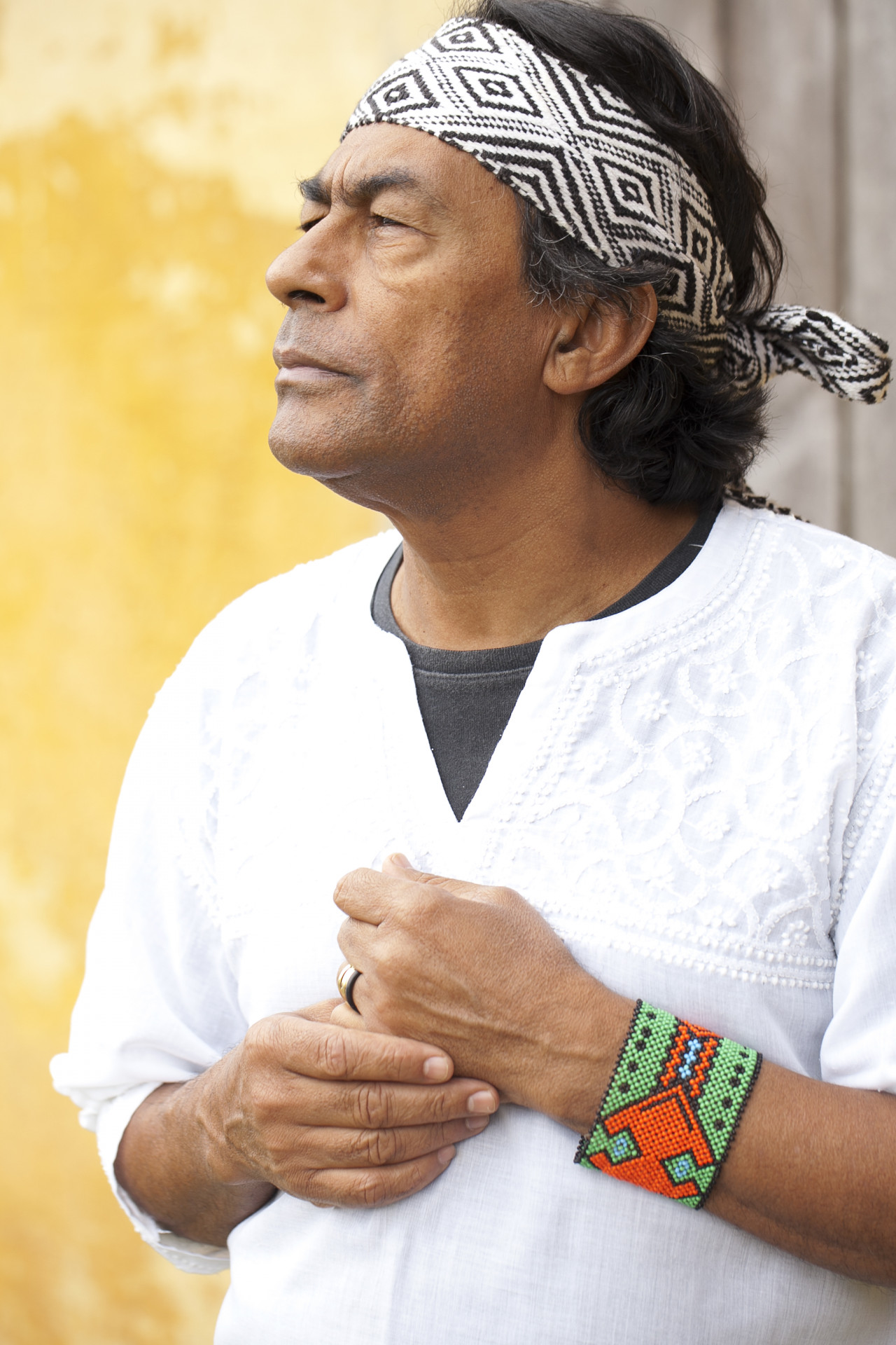 Ailton Krenak marcam presença no desfile do Salgueiro
 - Divulgação 