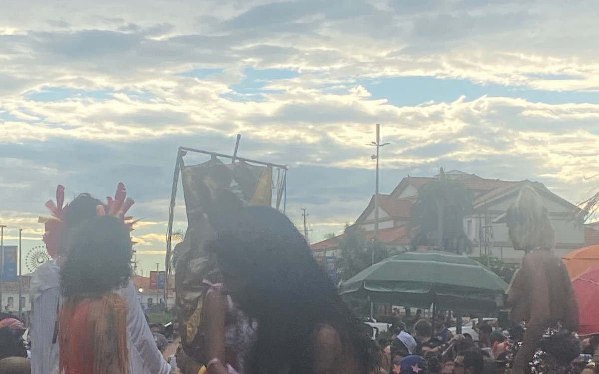Cortejo do Boi Tolo levou milhares de foliões para as ruas - Divulgação