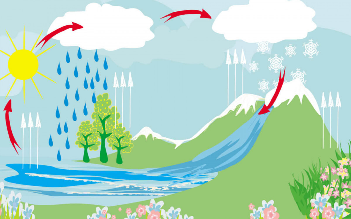 Os principais ciclos biogeoquímicos são o ciclo da água, do carbono, do oxigênio e do nitrogênio (Imagem: Jacky Brown | Shutterstock)