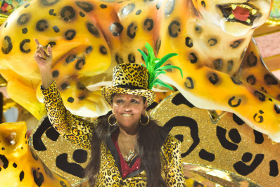 Confira as celebridades que desfilaram na Grande Rio