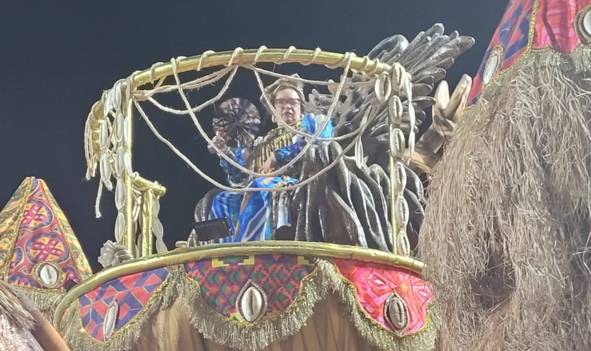 Ana Maria Gon&ccedil;alves, autora do livro 'Um Defeito de Cor', durante o desfile da Portela de 2024 - Beatriz Perez / Arquivo O Dia