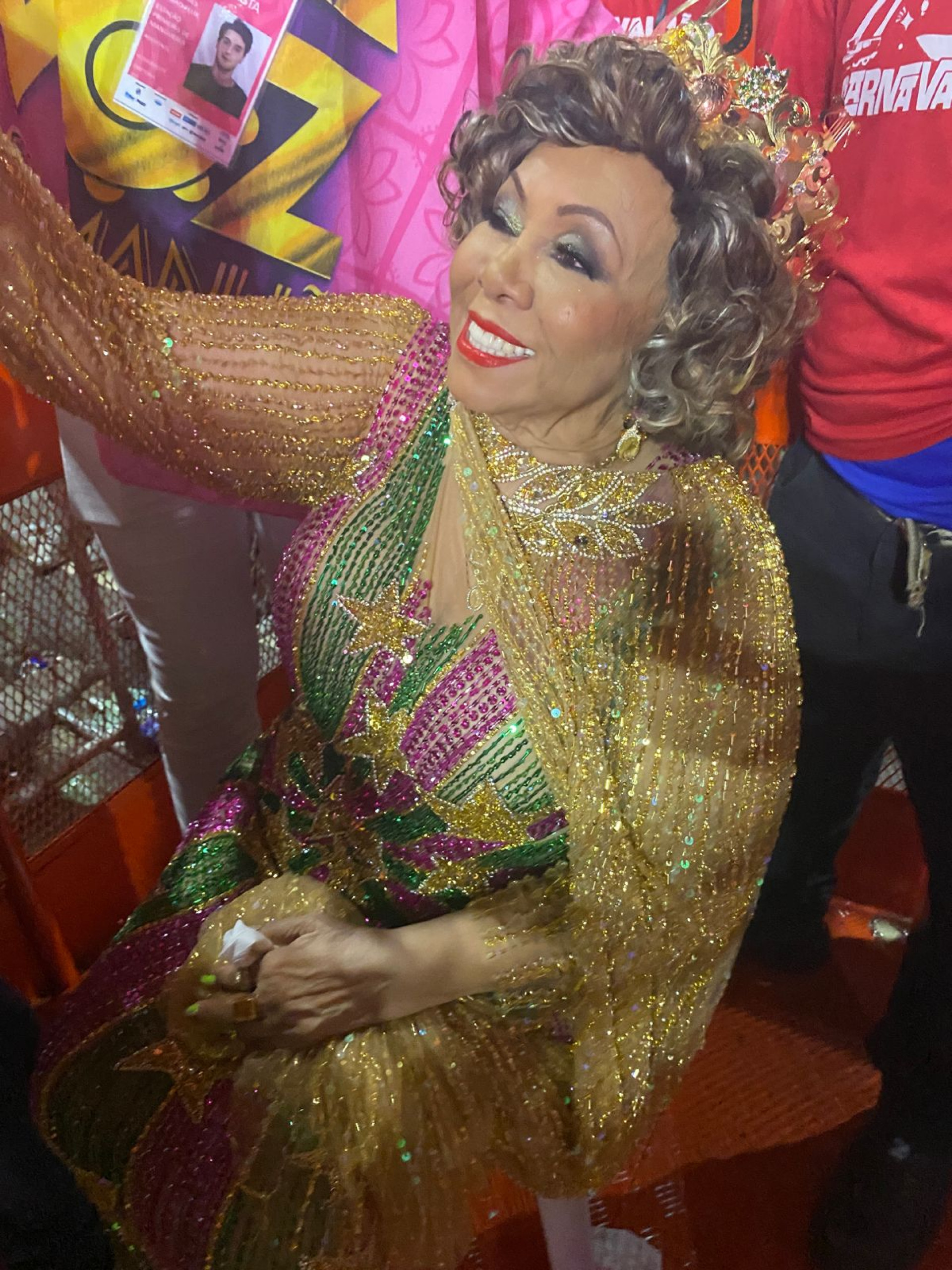 Alcione desfila no último carro da Mangueira nesta terça-feira (13) - Thalita Queiroz / Agência O Dia