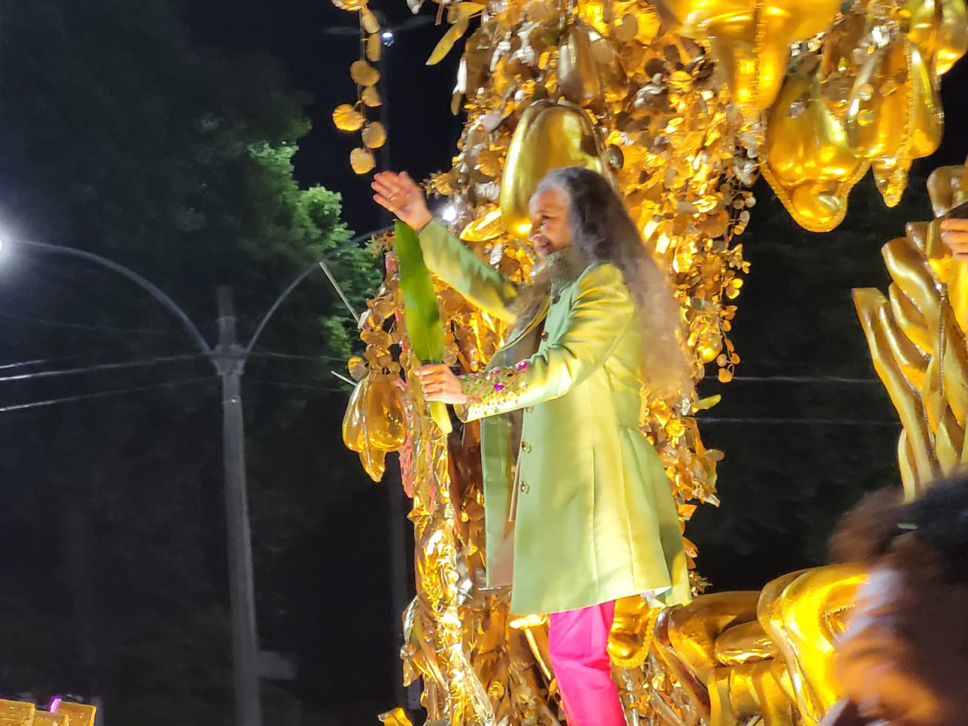 Maria Bethânia voltou a desfilar pela Mangueira, homenageando Alcione - Beatriz Perez / Agência O Dia