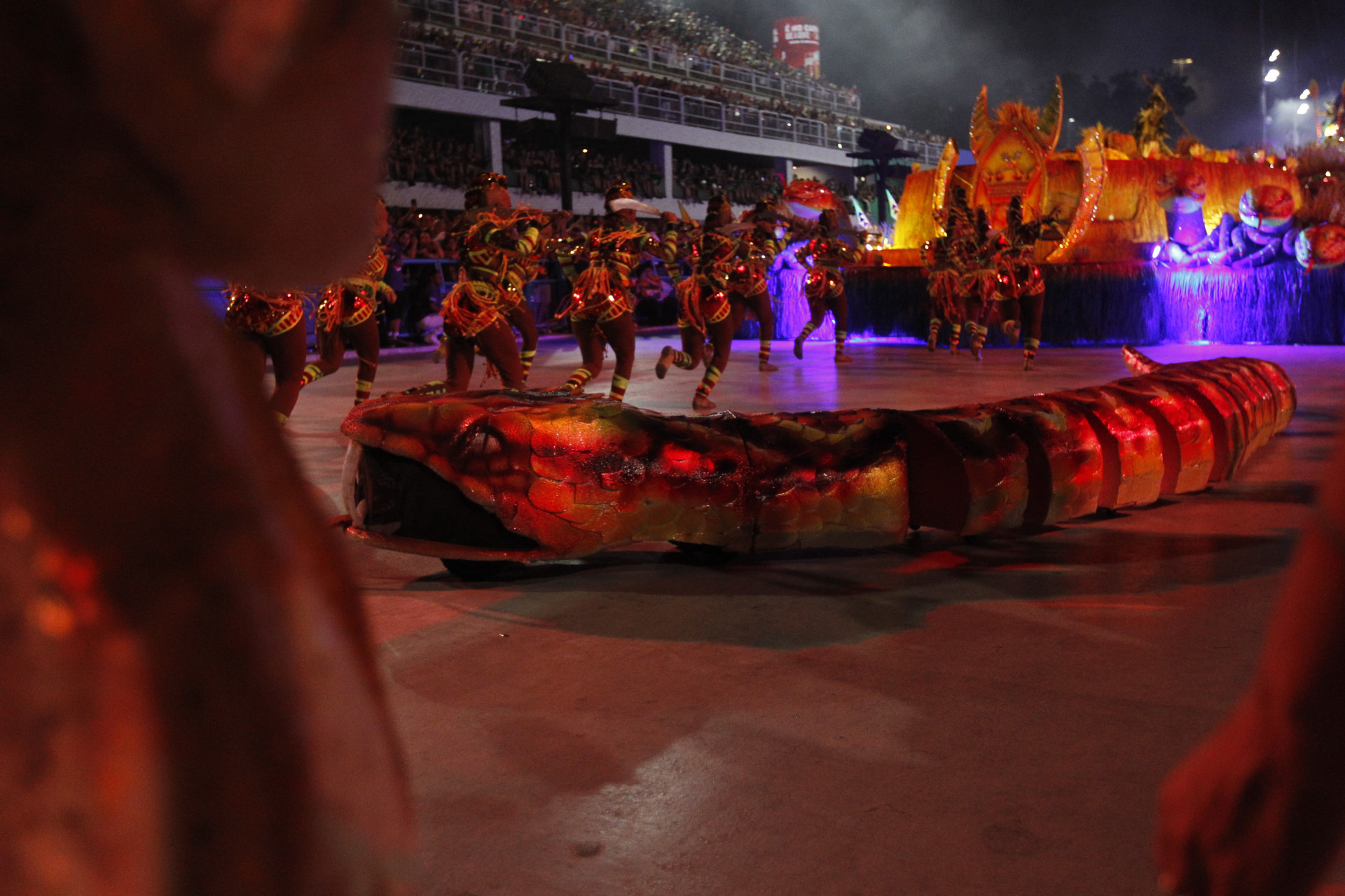 Serpente da Viradouro agitou Marqu&ecirc;s de Sapuca&iacute; na madrugada de ter&ccedil;a-feira (13) - Reginaldo Pimenta / Agencia O Dia