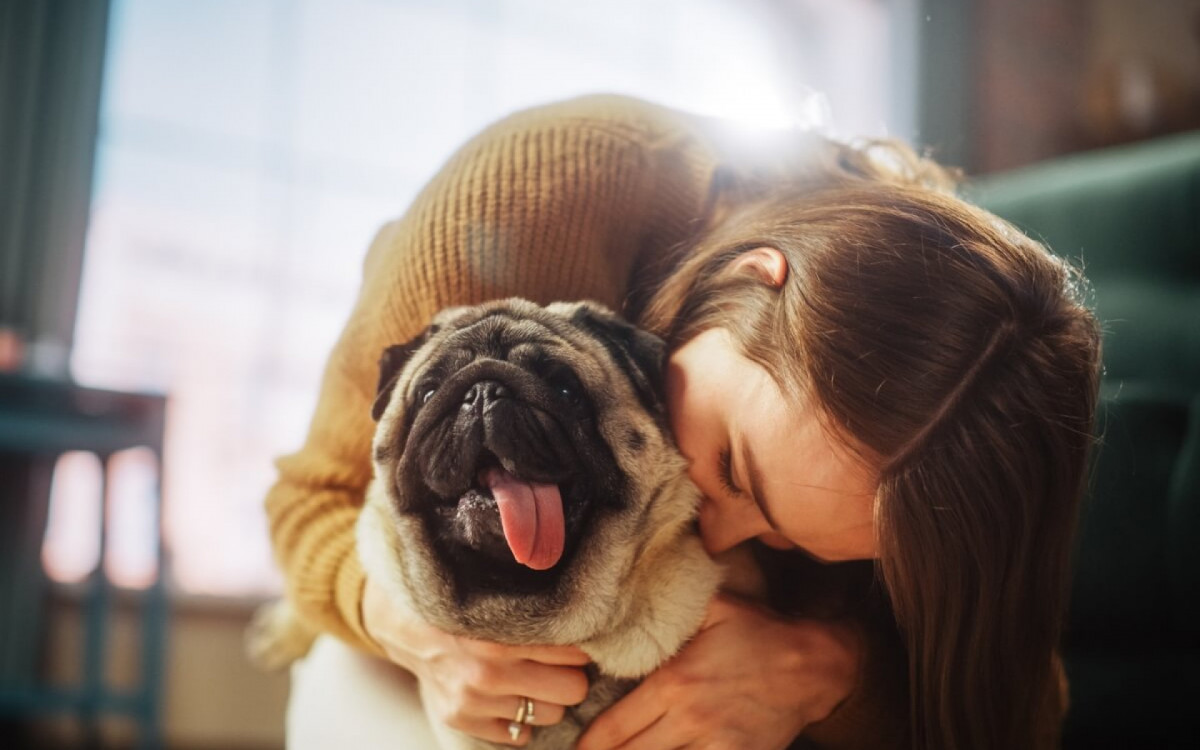 C&atilde;es de pequeno a m&eacute;dio porte se adaptam melhor a espa&ccedil;os menores (Imagem: Gorodenkoff | Shutterstock)