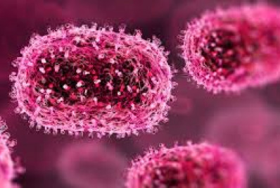 O que é a varíola do Alasca? Doença causa primeira morte nos EUA e chama a atenção para vírus