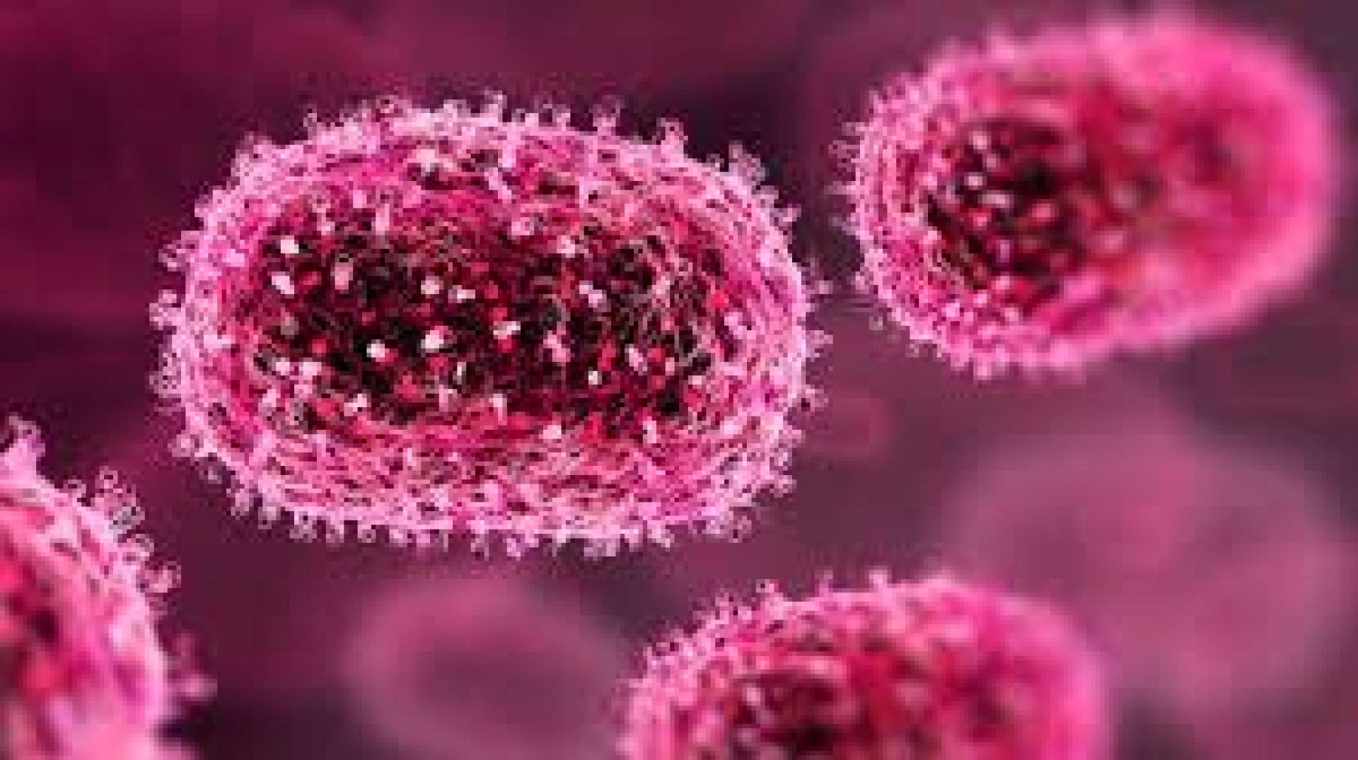 Unicamp abre investigação interna sobre furto de material biológico