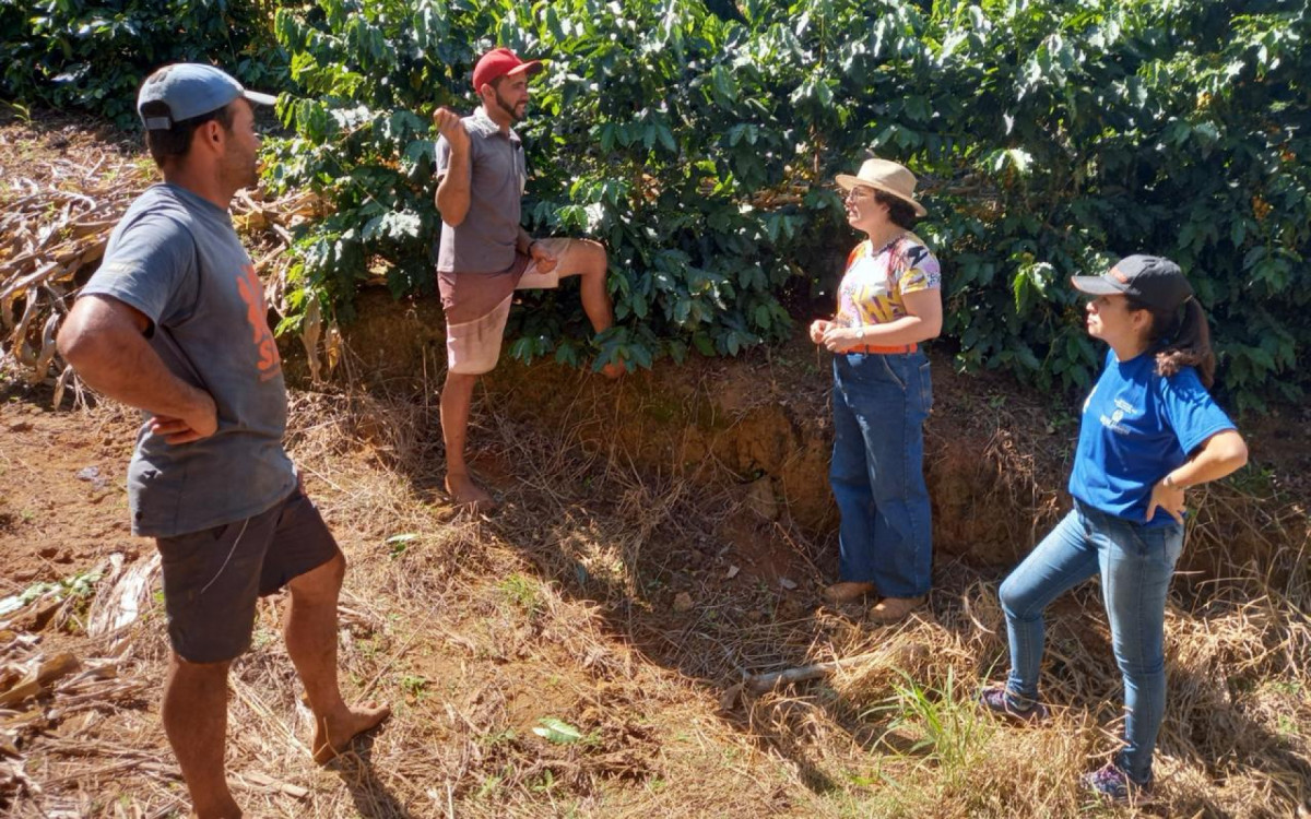 Produção de café registrou aumento de 129% no faturamento bruto no estado do Rio - Divulgação: Emater-Rio
