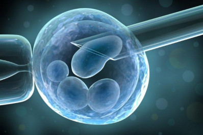 Norte-americana descobre 21 irmãos e que todos são filhos de médico responsável pela inseminação