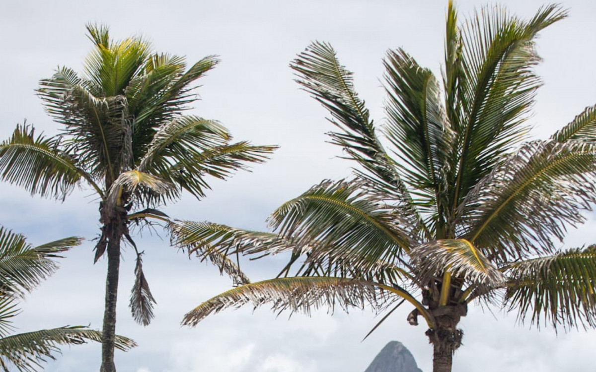 Praia do Arpoador, Zona Sul, neste sábado de sol - Renan Areias / Agência O Dia