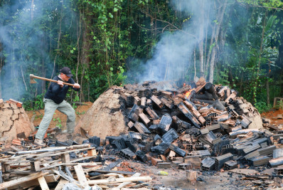 Cinco pessoas são presas em carvoaria clandestina em Duque de Caxias