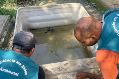Três Rios tem mais de 600 casos de dengue confirmados