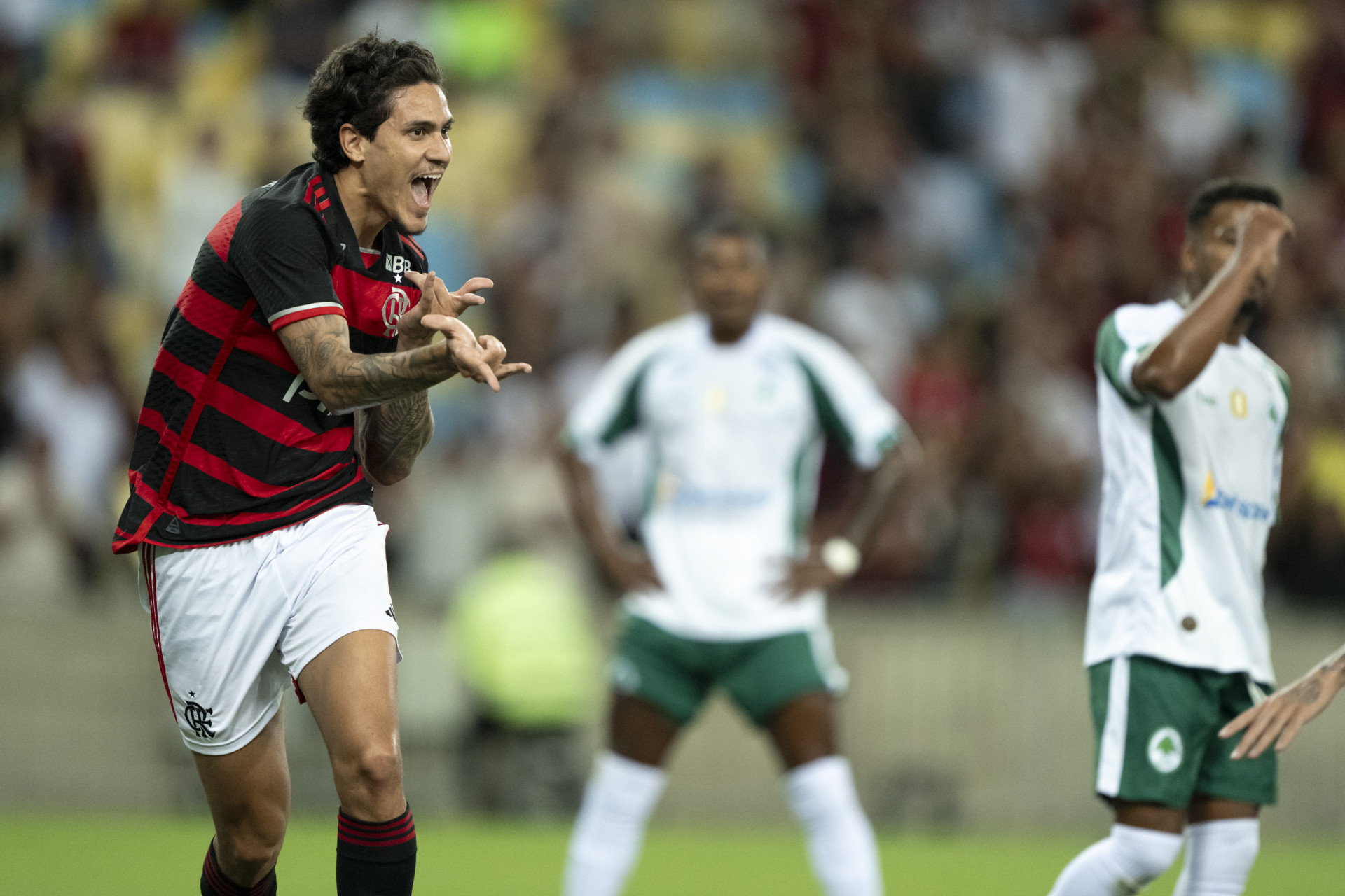 Pedro comemora gol marcado no jogo do Flamengo contra o Boavista  - JORGE RODRIGUES/AGIF - AGÊNCIA DE FOTOGRAFIA/ESTADÃO CONTEÚDO