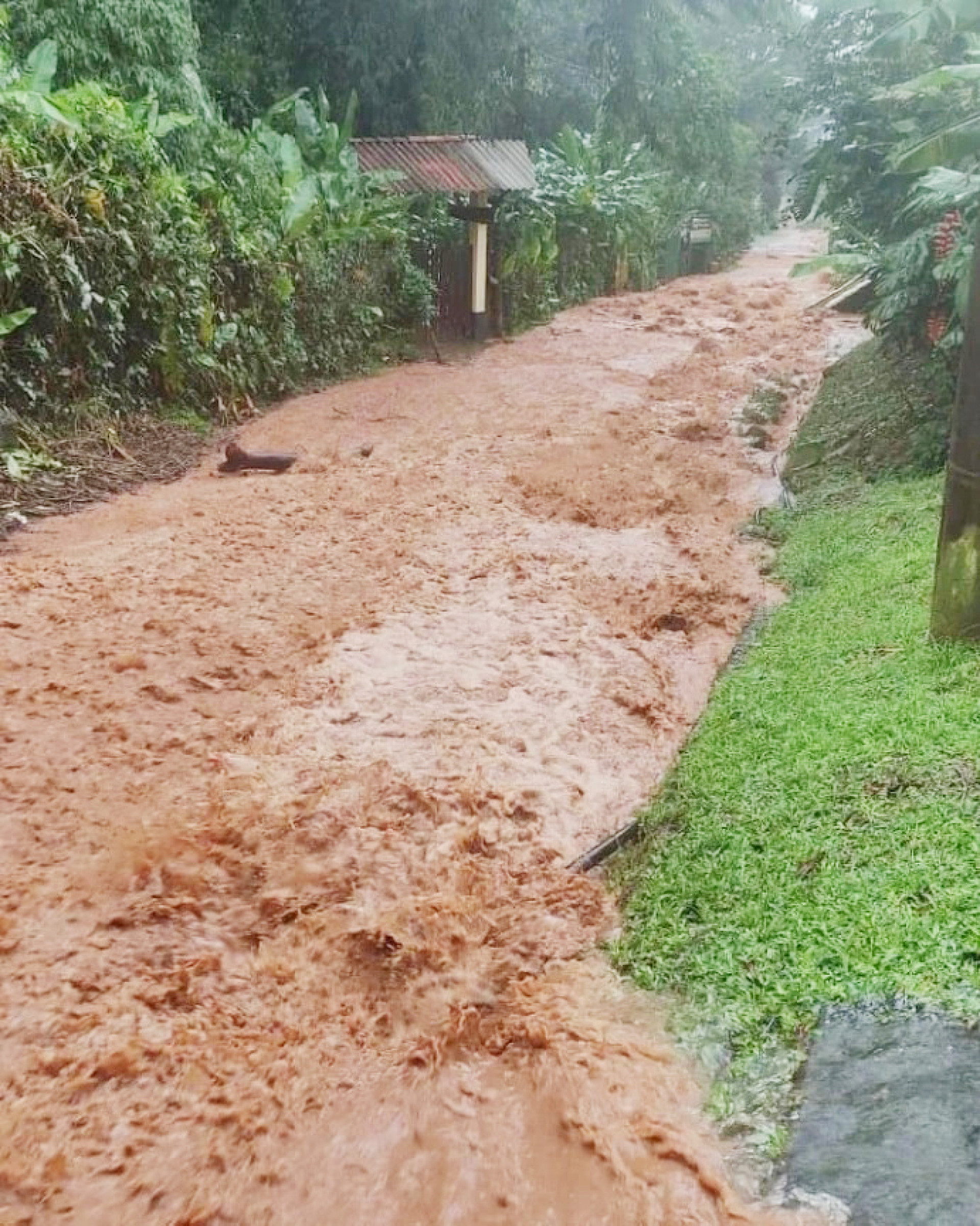 Temporal inunda rua em Guapimirim, Região Metropolitana do Rio de Janeiro