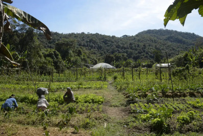 Brasil: 15 milhões de hectares de imóveis rurais se sobrepõem a florestas