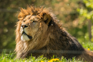 Informe de rendimentos para aposentados e pensionistas já está disponível