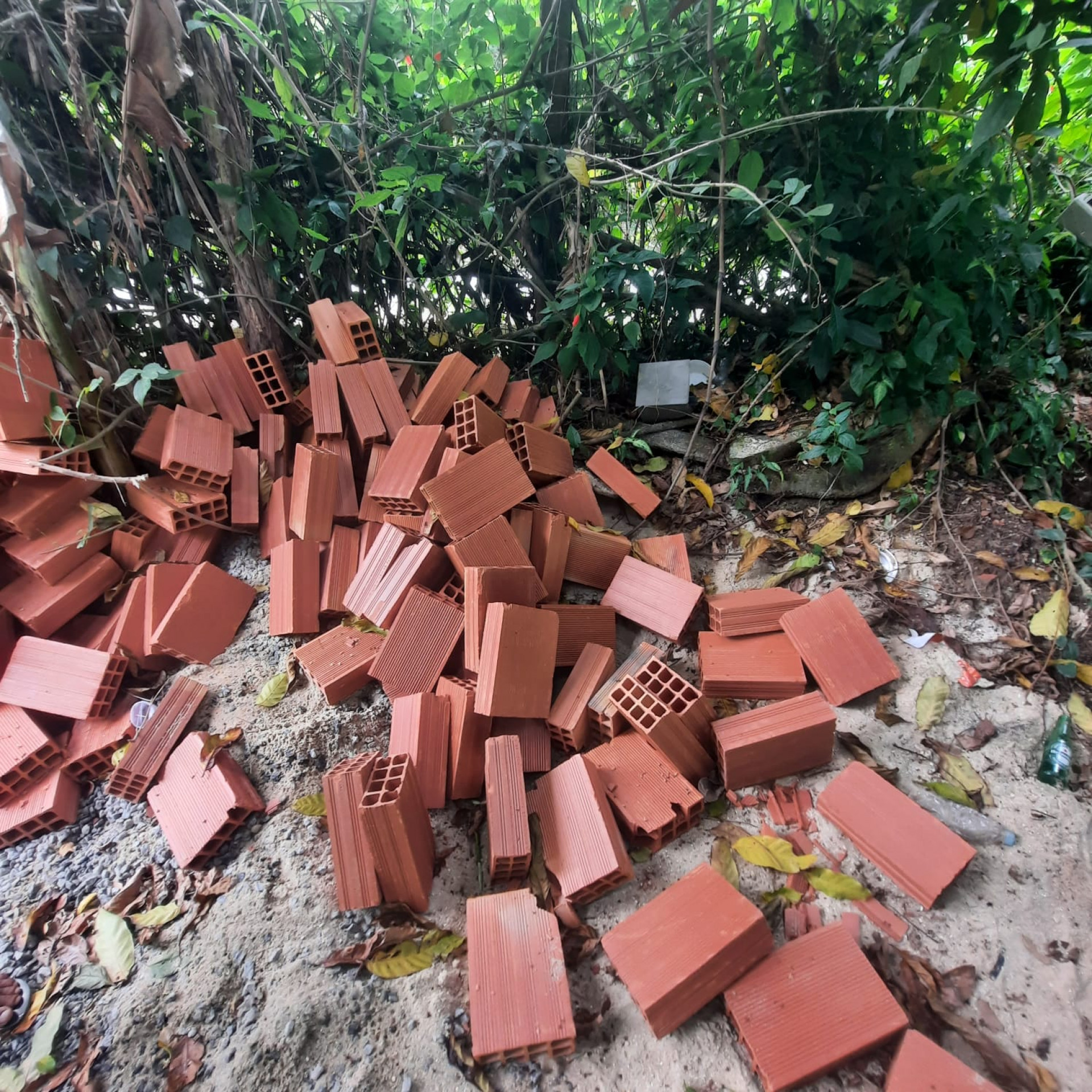 Restos de construções na área de preservação