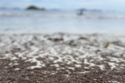 Acúmulo de algas após tempestades em Arraial do Cabo atrai atenção de visitantes