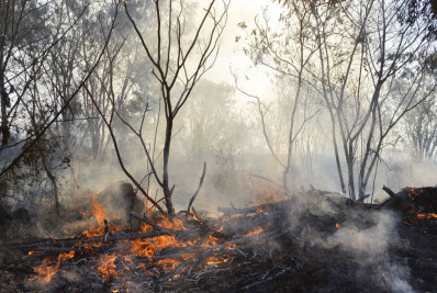Roraima tem 22% dos focos de queimada de todo o País