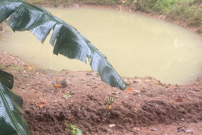 UPAm identifica crimes ambientais na Posse