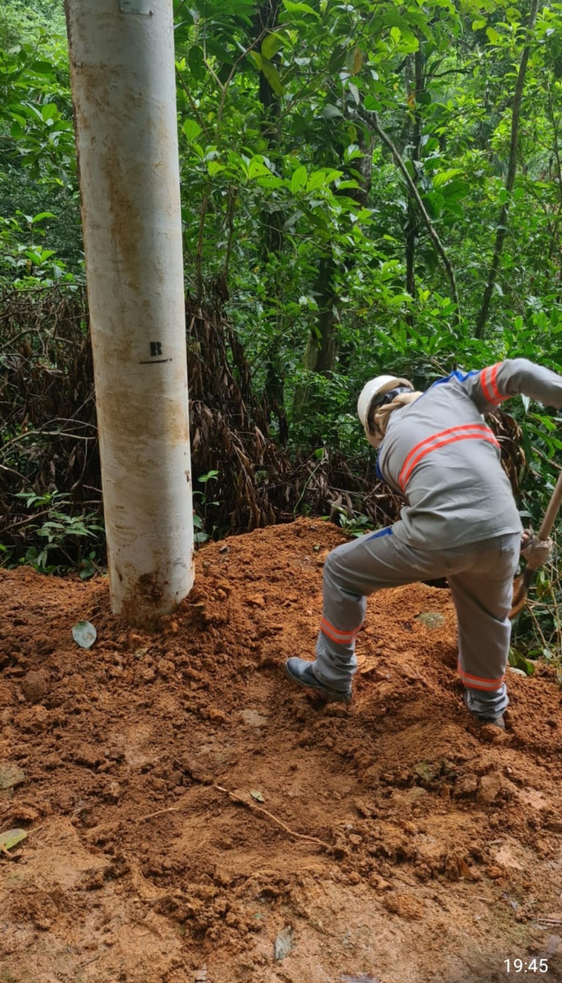 Foram instalados 23 novos postes e reconstruídos 800 metros de rede elétrica, nesta primeira fase de investimentos da Enel na Vila do Abraão - Divulgação/ENEL