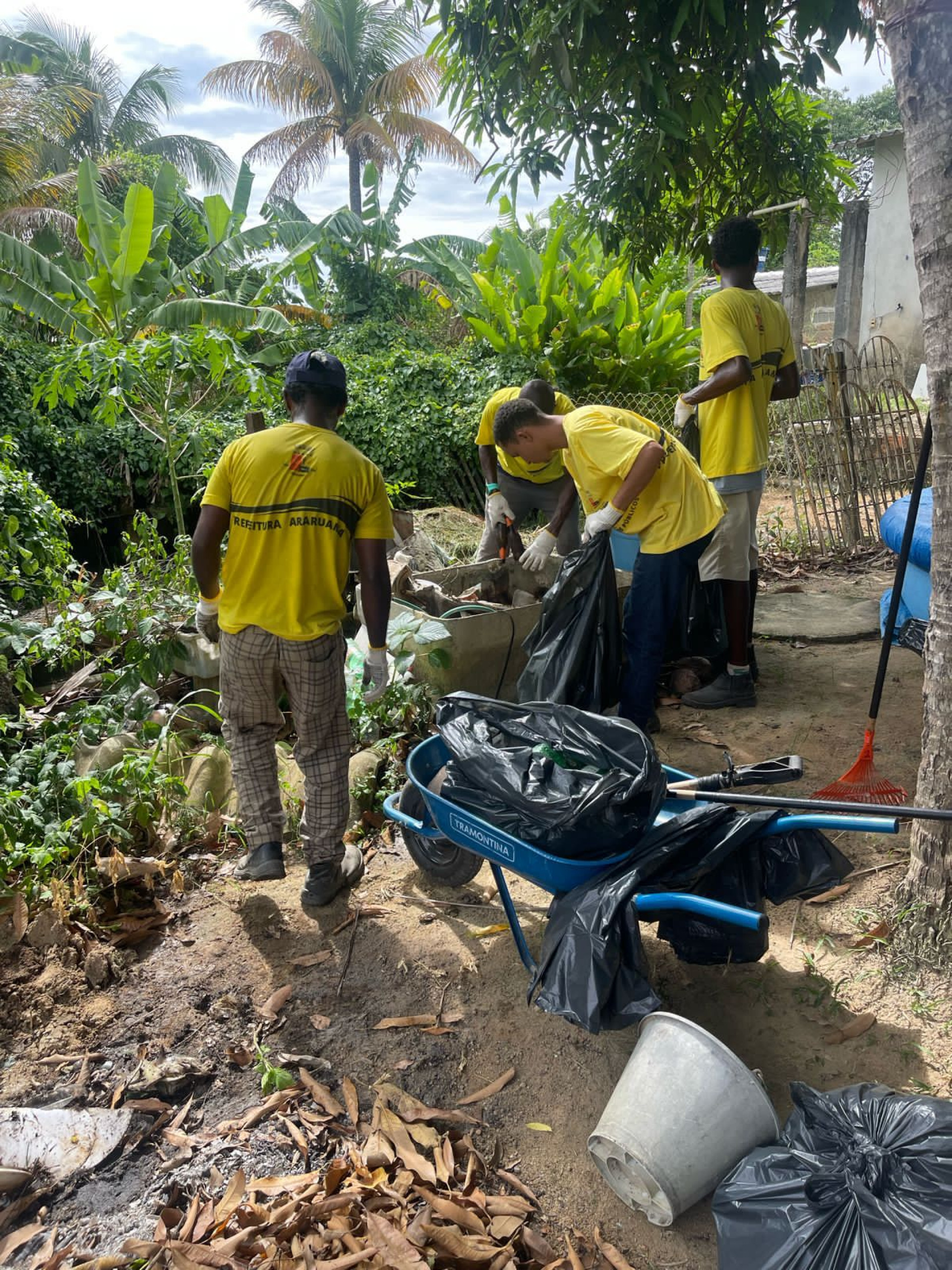 Dia D de Combate à Dengue - Areal e Ponte dos Leites