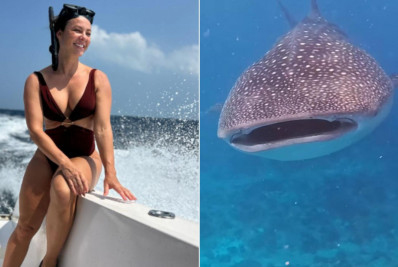 Paolla Oliveira mostra encontro com tubarão durante mergulho 