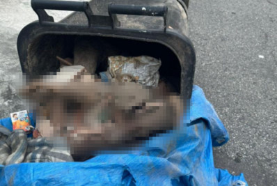 Corpo é encontrado esquartejado dentro de lixo em Vila Isabel