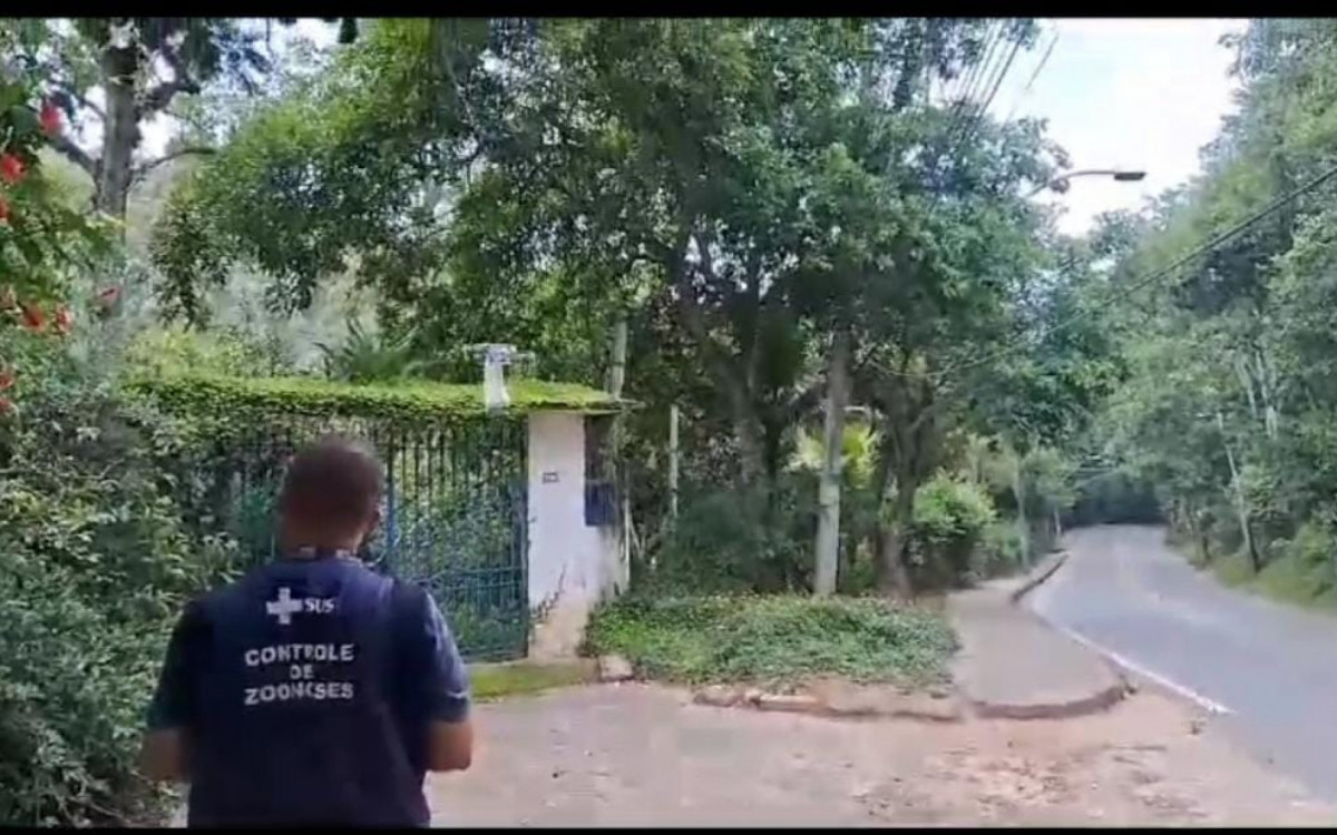 Fumacê é um dos recursos usados em Paty