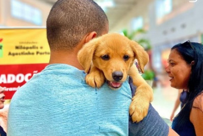 Mais de 20 pets ganharam novo lar na feira de adoção em Meriti