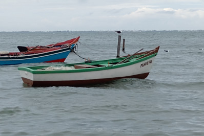 ONG promove curso gratuito para pescadores da Região dos Lagos