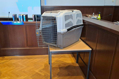 Austríaca é condenada a 20 anos de prisão por torturar o próprio filho