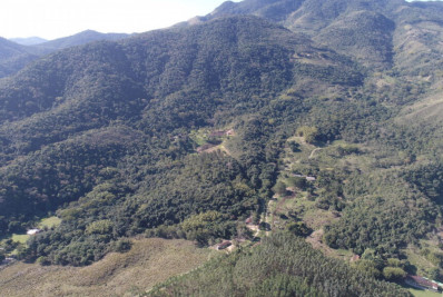 Haddad, Marina e Banga dão destaque à iniciativa do país de preservação de florestas em artigo