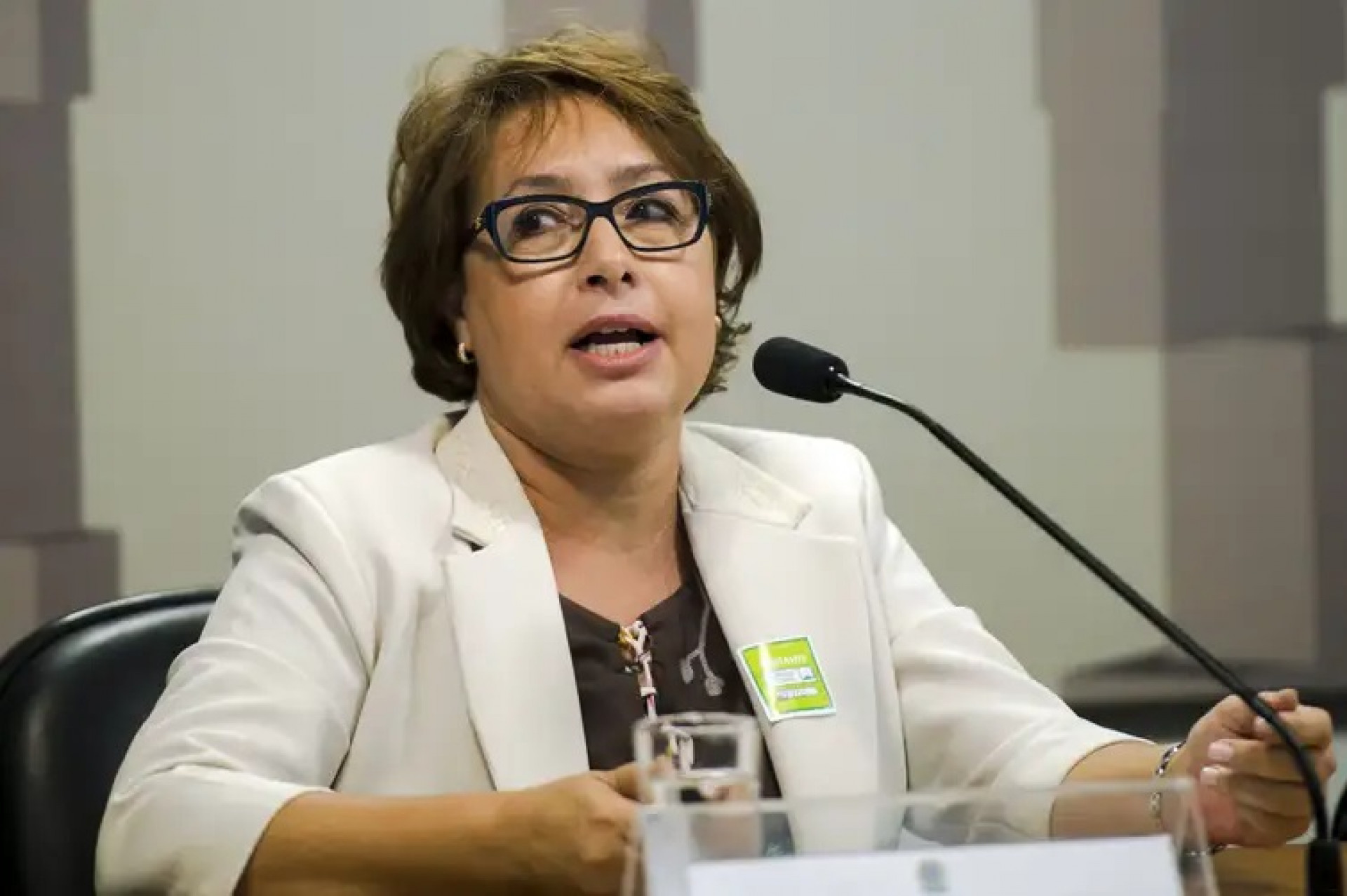 A professora N&eacute;lia Del Bianco, da Universidade de Bras&iacute;lia - Marcelo Camargo/Ag&ecirc;ncia Brasil
