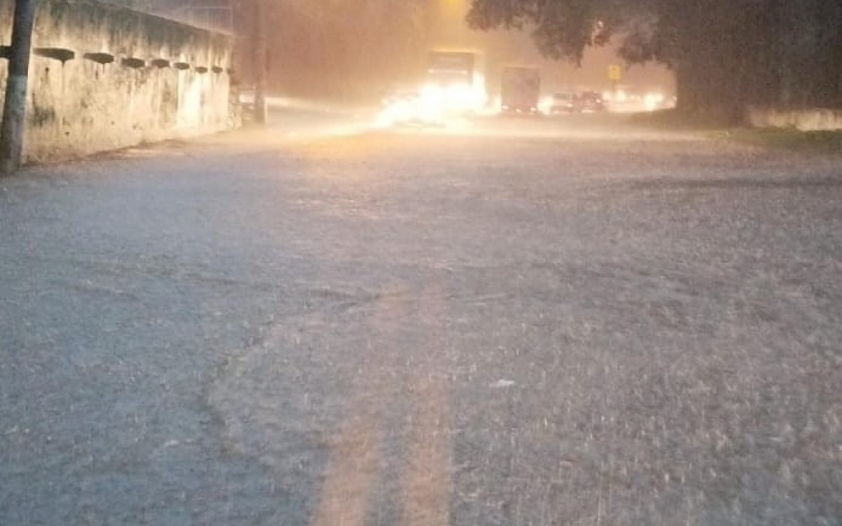 A queda de uma árvore em Corrêas, Petrópolis, interrompeu o tráfego na Estrada da Mineira
