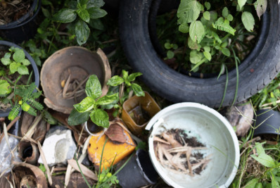 Dia D: próxima ação de combate à dengue em Araruama vai ocorrer no bairro Fazendinha