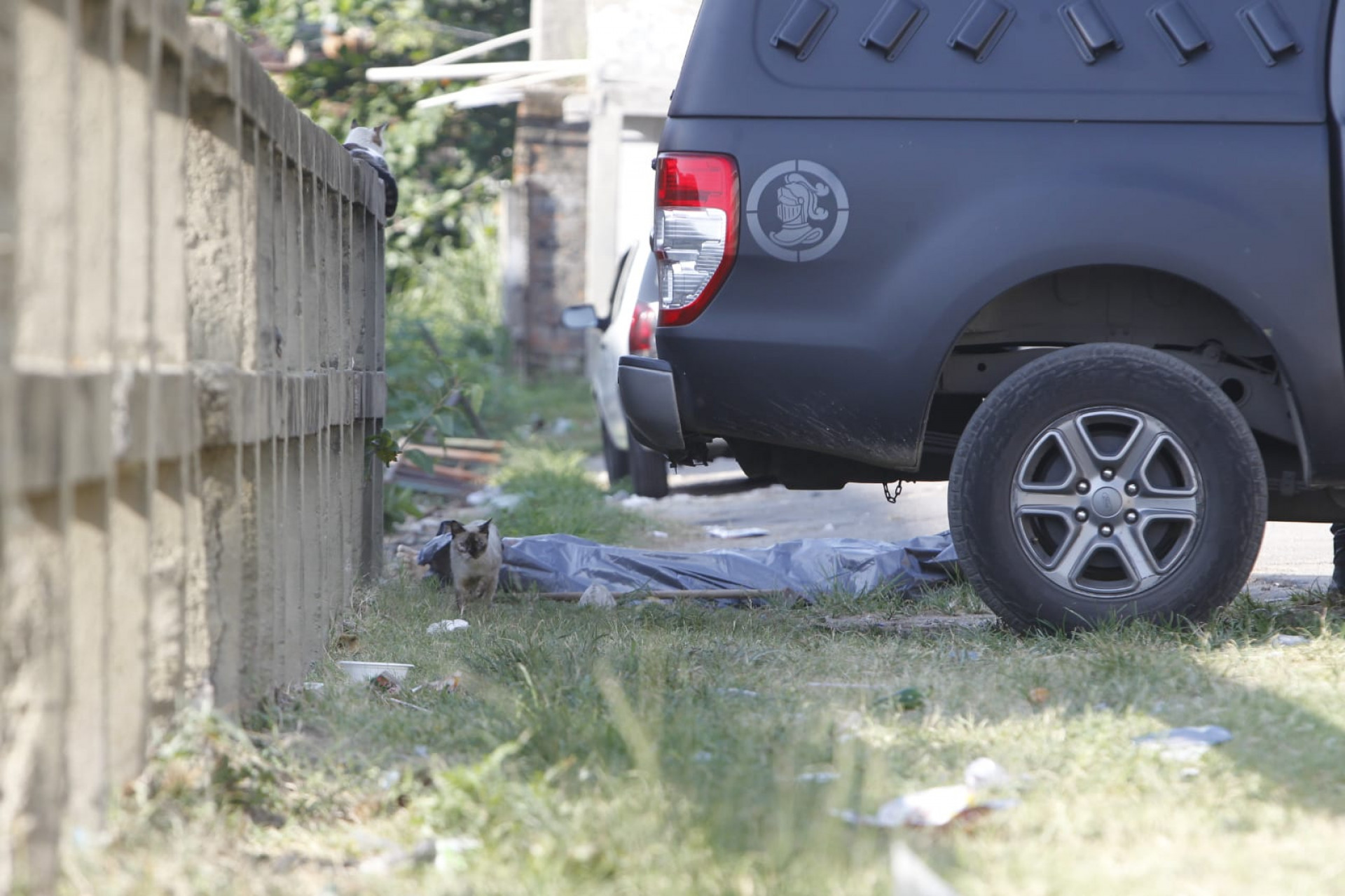 No Jacarezinho, um suspeito morreu ap&oacute;s ser baleado durante uma troca de tiros - Reginaldo Pimenta / Ag&ecirc;ncia O Dia