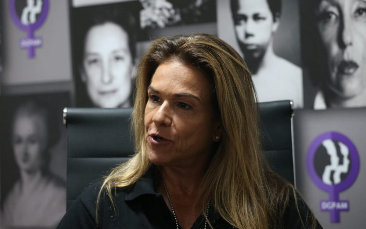 Tatiana Queiroz, diretora do Departamento Geral de Polícia de Atendimento à Mulher - Cleber Mendes / Agência O Dia