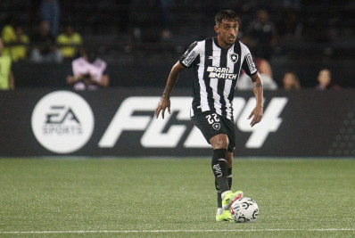 Botafogo: Damián agradece mosaico e destaca importância da torcida para o time