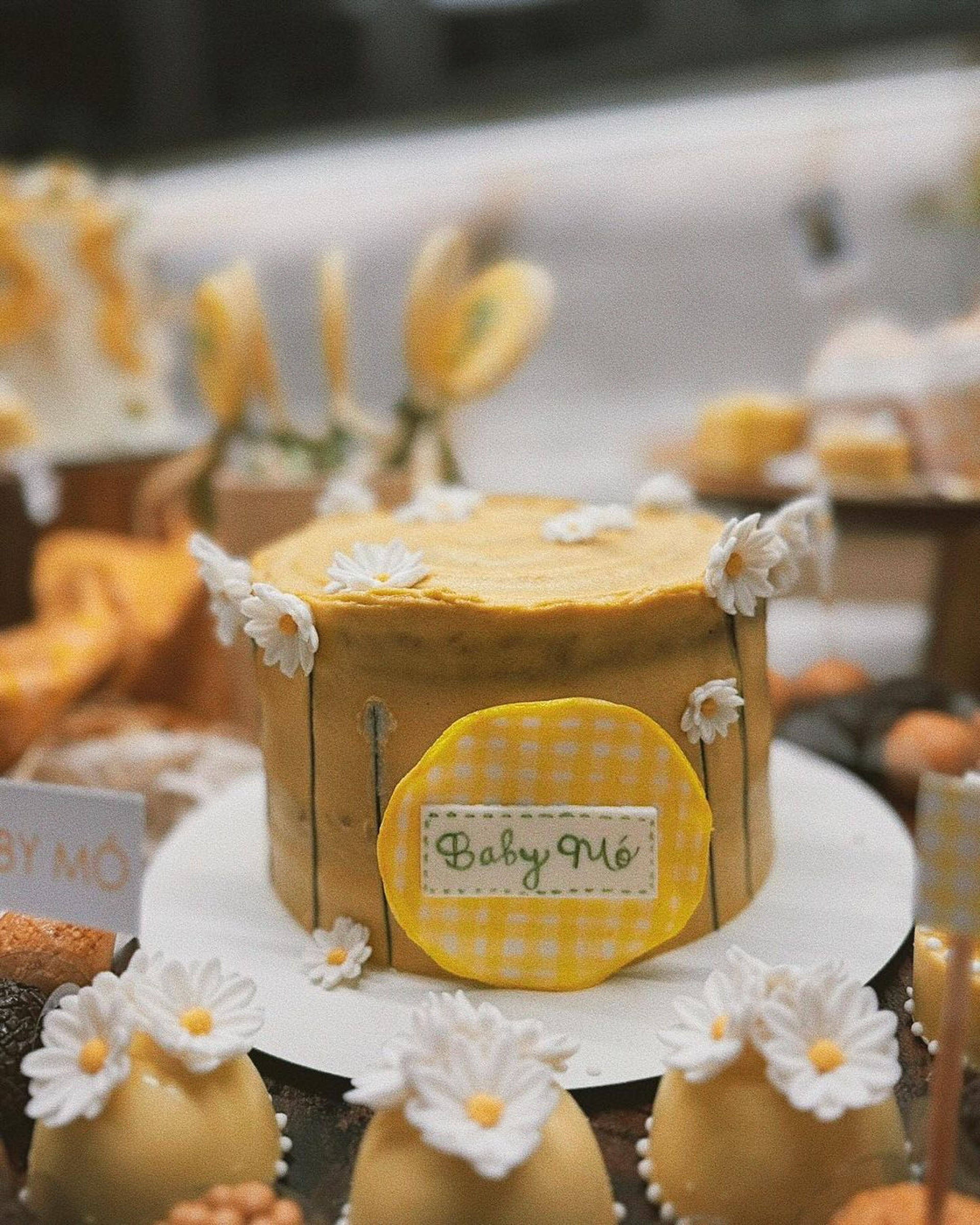 Fernanda Paes Leme ganha chá de bebê surpresa - Reprodução/Instagram