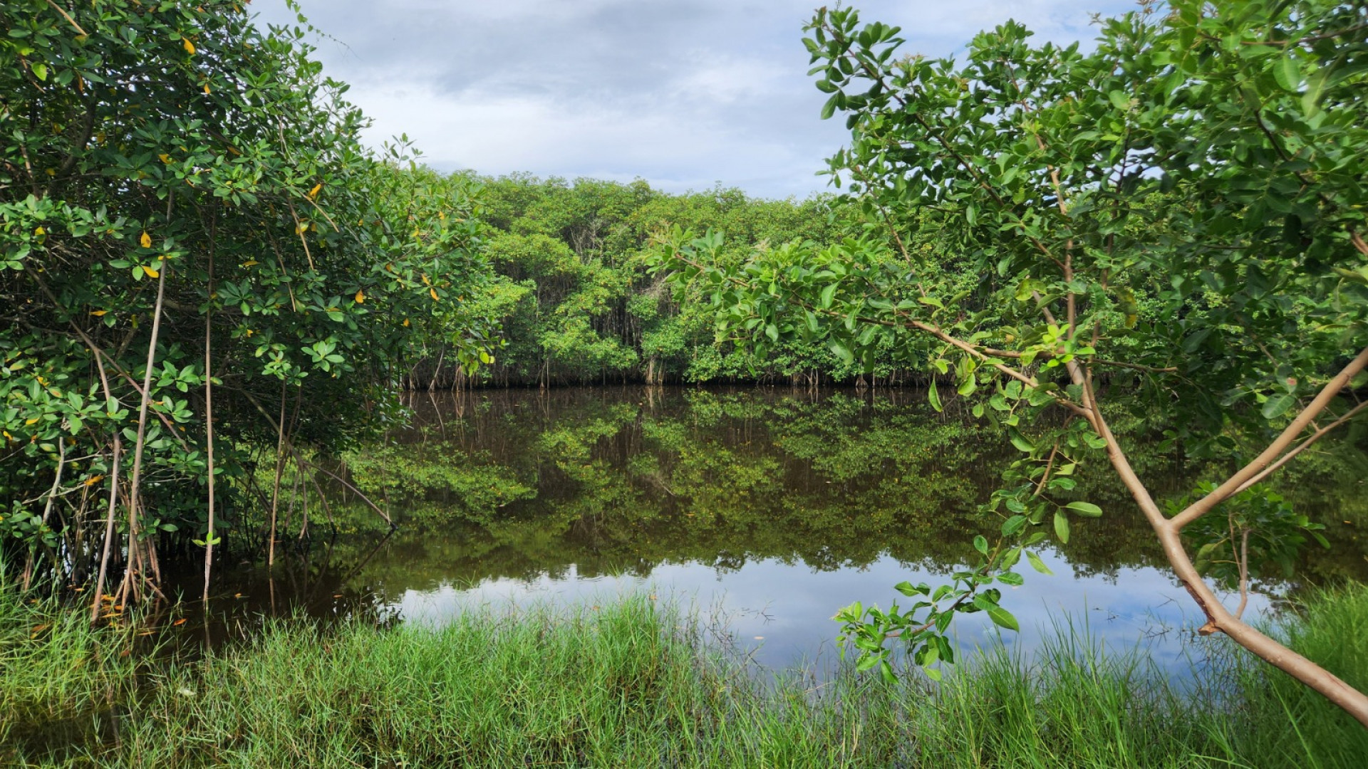 Saquarema recebeu visita de técnicos da Secretaria de Estado do Ambiente e Sustentabilidade e da Coordenadoria de Biodiversidade - Divulgação/Prefeitura de Saquarema