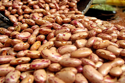 Safra 2024 terá produção maior de algodão, feijão, arroz e trigo, diz IBGE