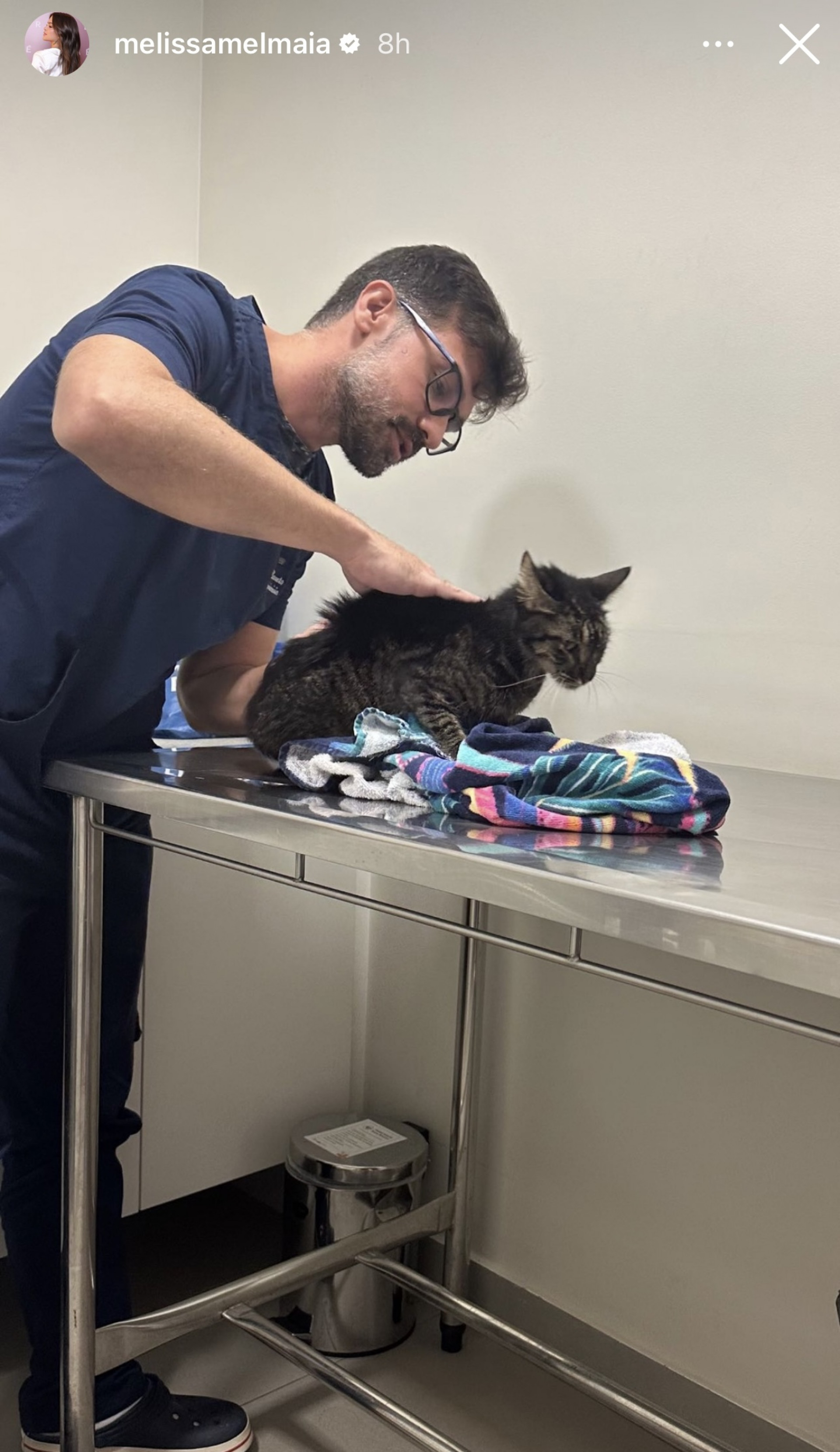 Mel Maia adota gata resgatada da rua - Reprodução