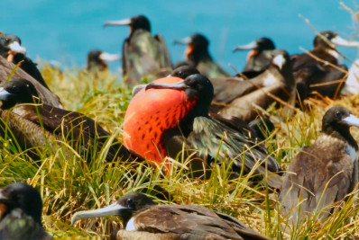 Natureza salva os domingos da mesmice 