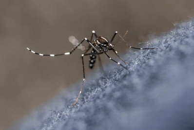 Prefeitura de Araruama divulga cronograma do carro fumacê nos bairros do município